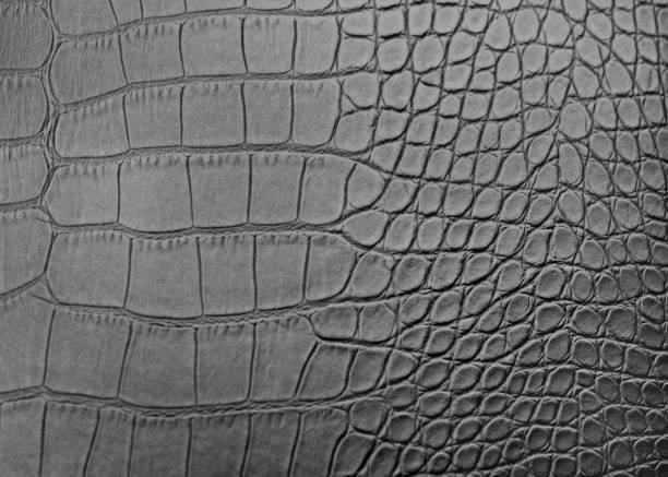 Crocodile Skin